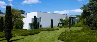 Stichting Serralves